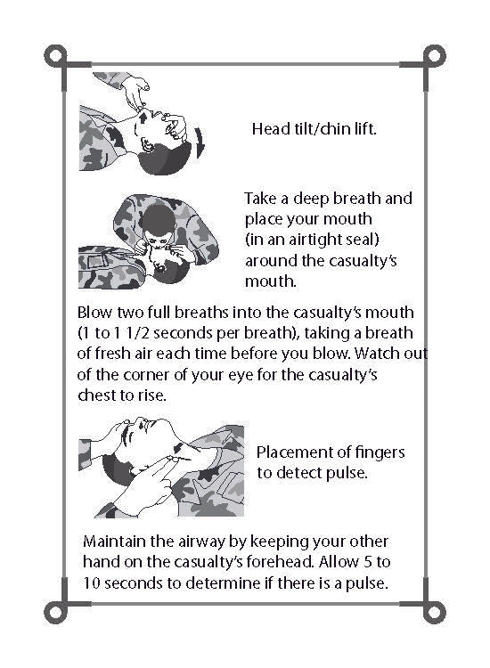 Medical Series: Army First-Aid | TC 4-02.1 and FM 4-25.11 | Army Flashcards