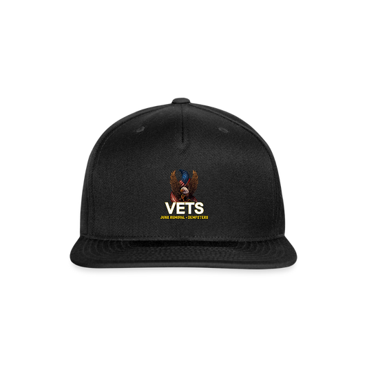 VETS Baseball Cap - black